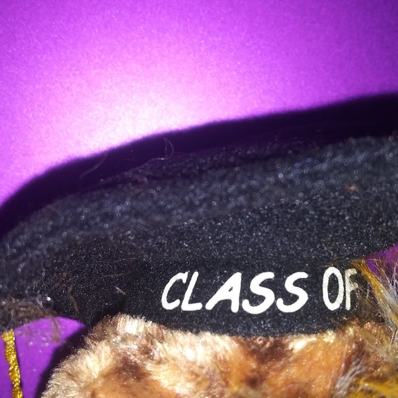 🌼 Smartest "Class of 2003"  Owl 🦉 - Picture 3 of 6